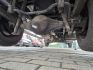 2392_renault-maxity-podnosnik-koszowy-16-m-multitel-160-alu-ds_260701085047.jpg - zdj�cie 30