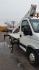 813_iveco-daily-podnosnik-koszowy-zwyzka-23m-bizzocchi-autel-230-hp_151130041952.jpg - zdjcie 5